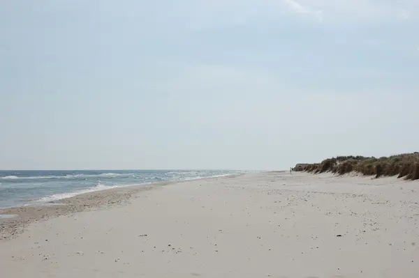 Sandhammaren